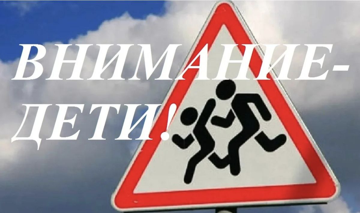 Профилактическое мероприятие «Внимание, дети!».